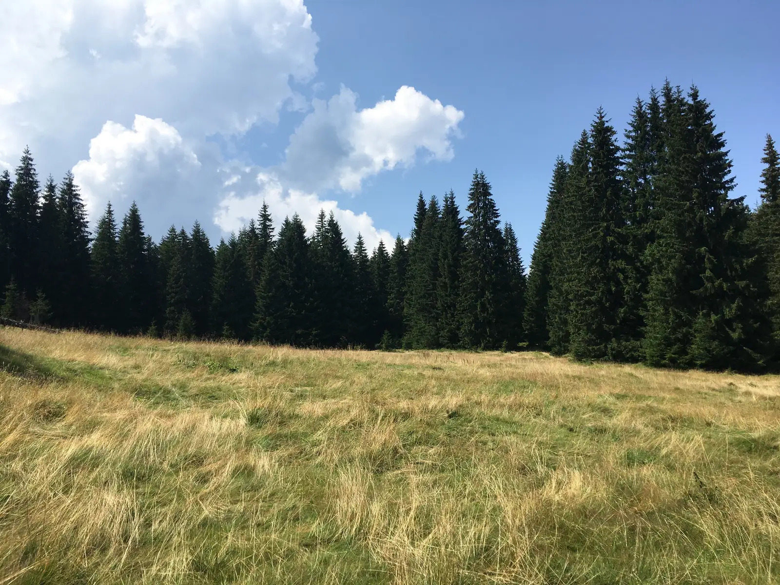 sat Jina - Vârful Guga Mare - Vârful Frumoasa - Vârful Cindrel