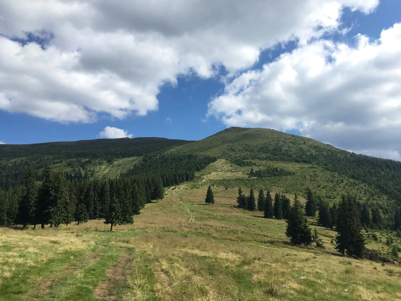 Şaua Ştefleşti - Vârful Cindrel