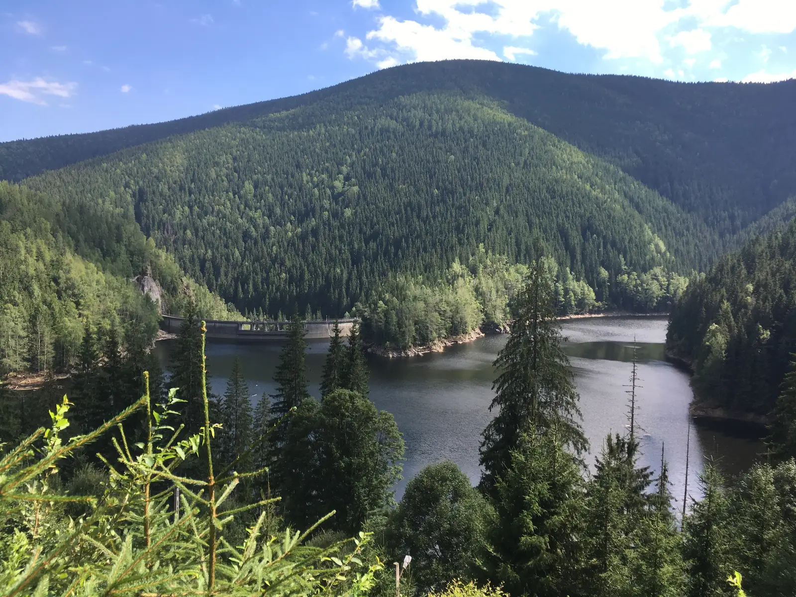 Staţiunea Păltiniş - Cabana Gâtul Berbecului - Lacul Negovanu