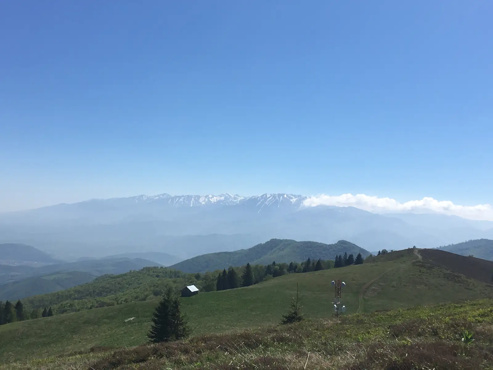 sat Cisnădioara - Vârful Măgura - Poiana Trandafirilor