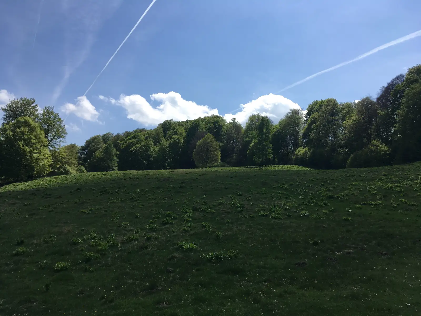 sat Cisnădioara - Valea Argintului - Poiana Trandafirilor