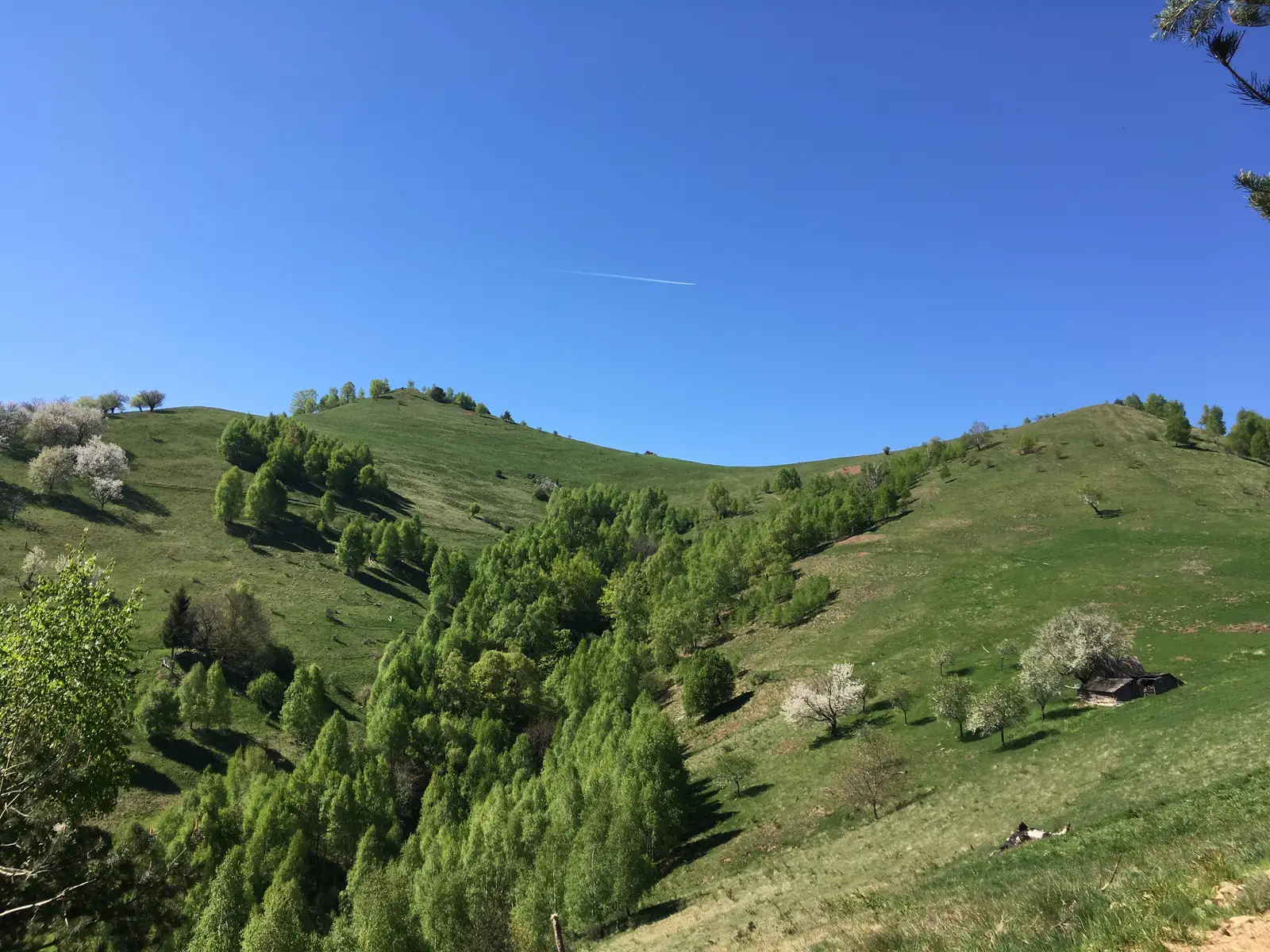 sat Răşinari - Valea Caselor - Şaua Apa Cumpănită