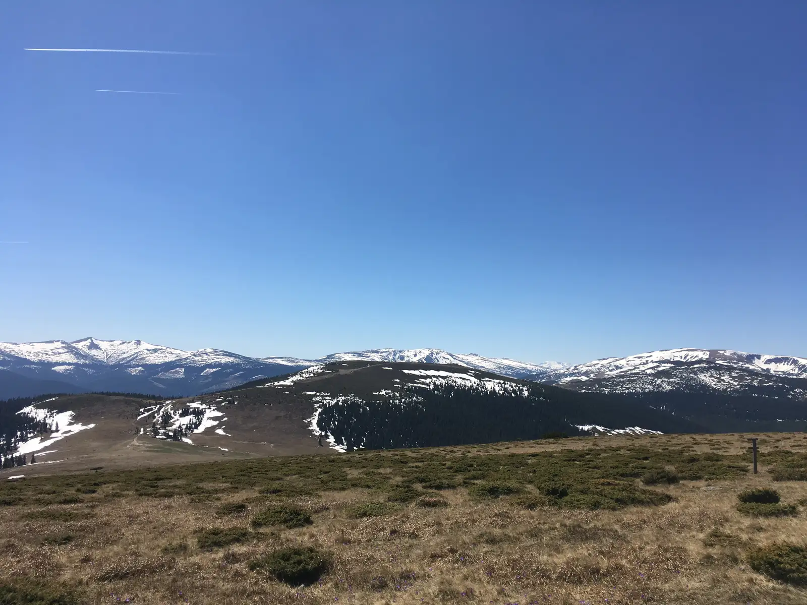 Staţiunea Păltiniş - Poiana Găujoara - Şaua Bătrâna
