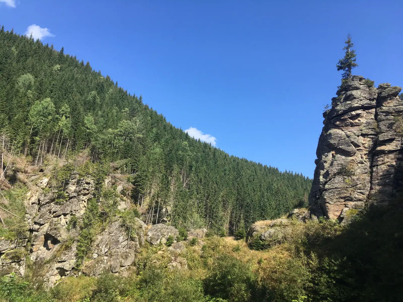 Cantonul Silvic Niculeşti - Refugiul Cindrel - Şaua Cânaia