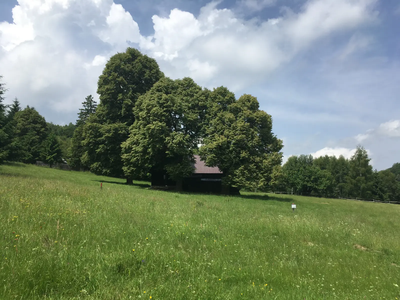 sat Răşinari - Dealul Costiţei - sat Cisnădioara