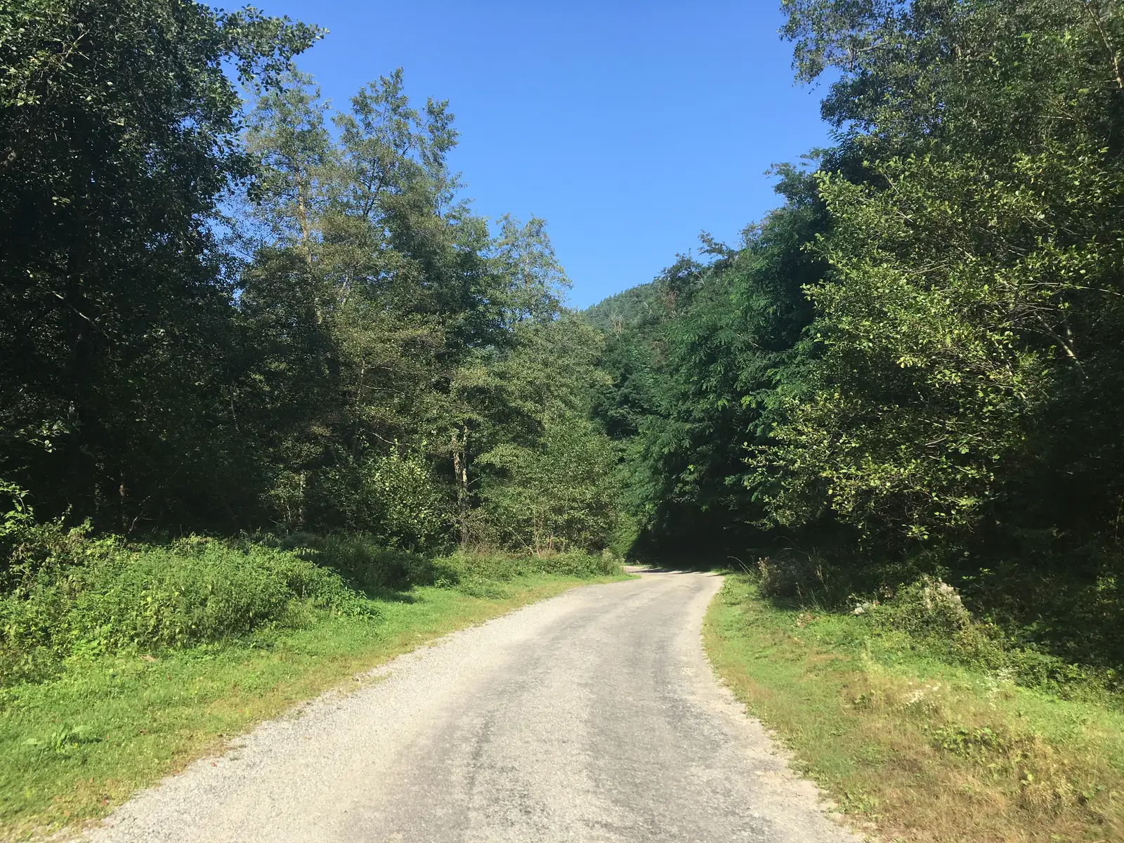 Halta CFR Sibiel - Poiana Godia - Fosta Cabană Fântânele