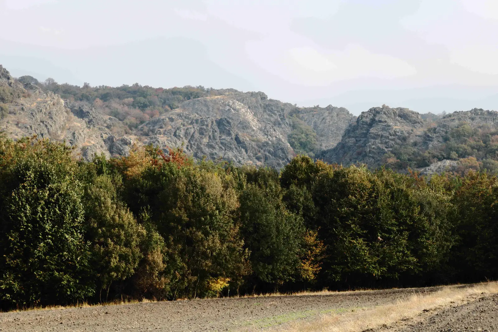 Greci - Valea Cozluk - Vf. Conaciu - Greci