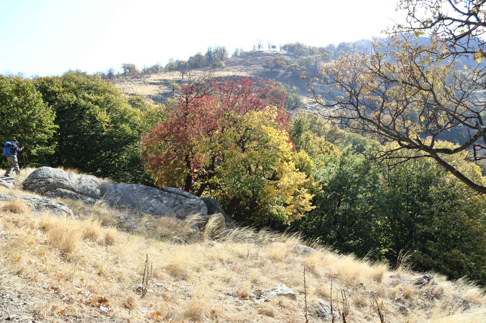 Greci (Piaţa Agroalimentară)- Valea Morsu- Vf. Ţuţuiatu-Valea Seacă-Valea Fagilor-Punct de Informare Cetăţuia-Luncaviţa