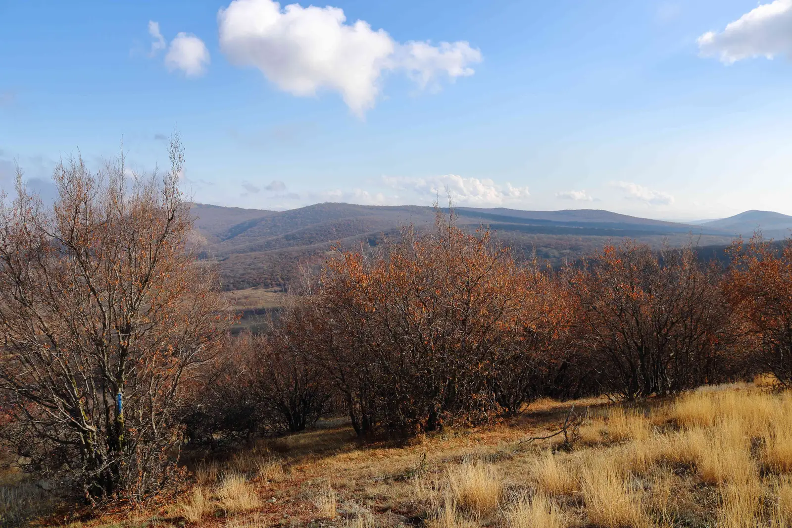 Nifon - Dealul Sarica - DN 21