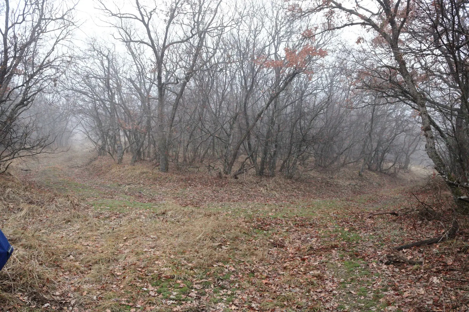 Cerna - Creasta Cardonului - Hamcearca