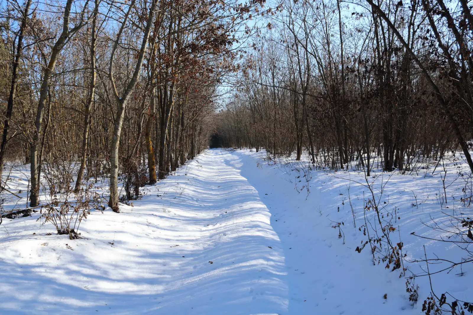 Cerna - Valea lui Puiu - Vf. Crapcea - DJ 222