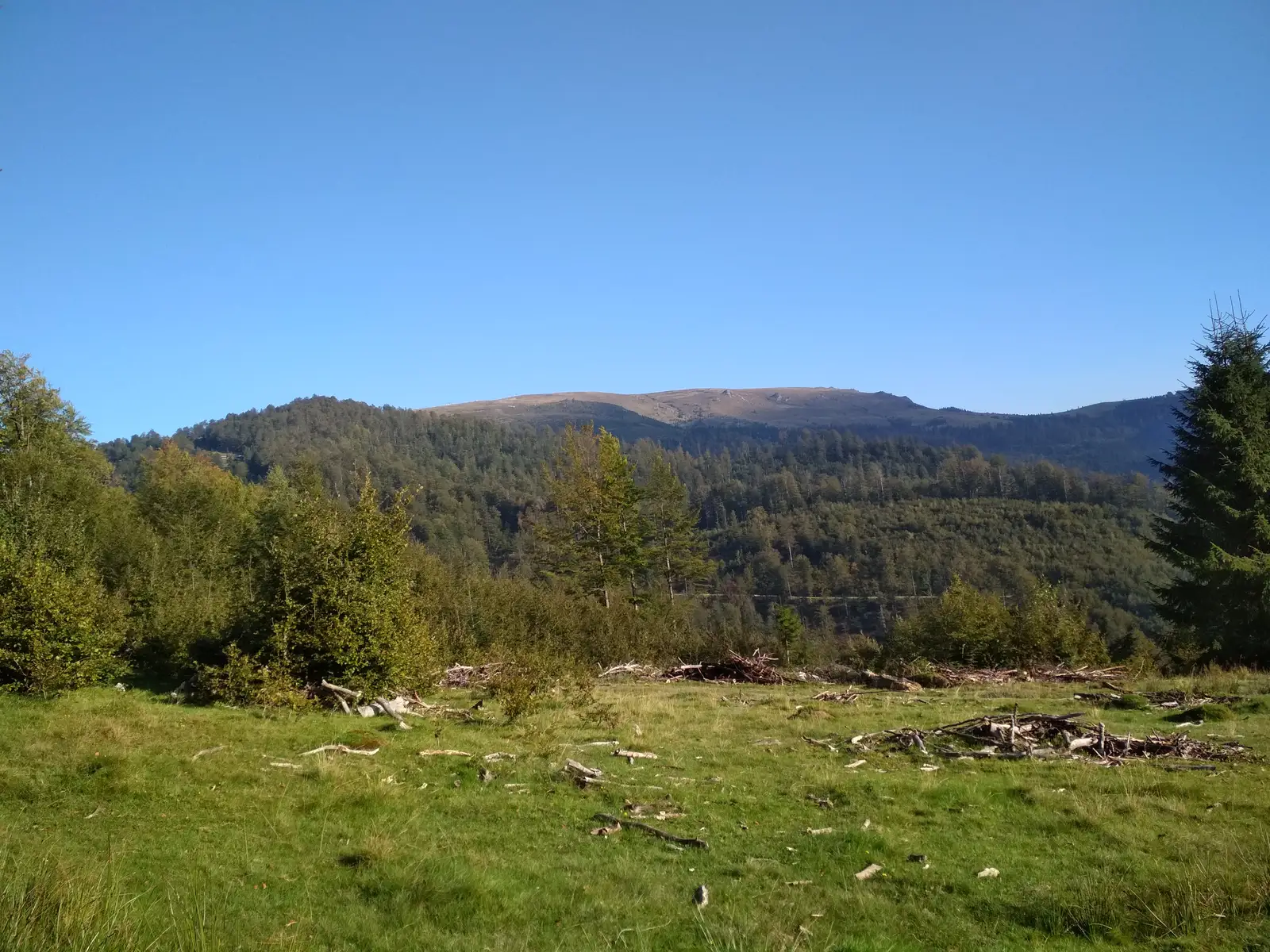 Poiana Mărului - Culmea Jigoriei - telescaunul din Valea Craiului