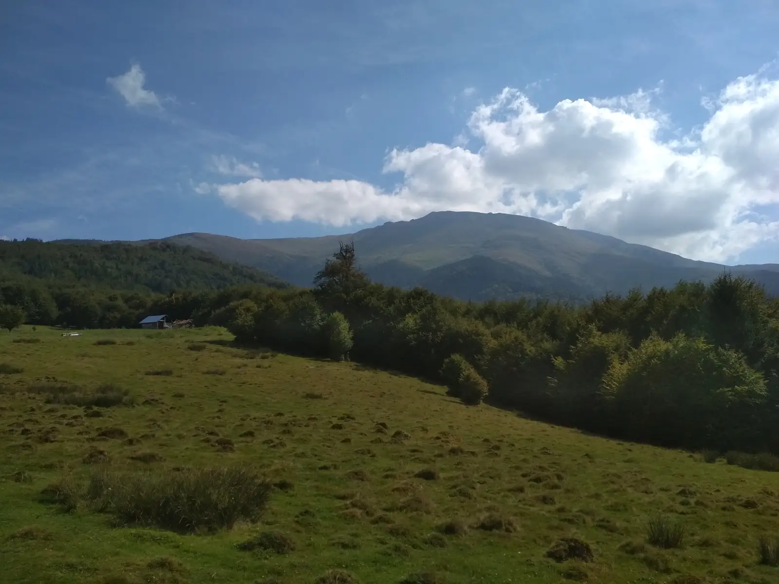 Feneş - Poiana Zloaba - Cuntu