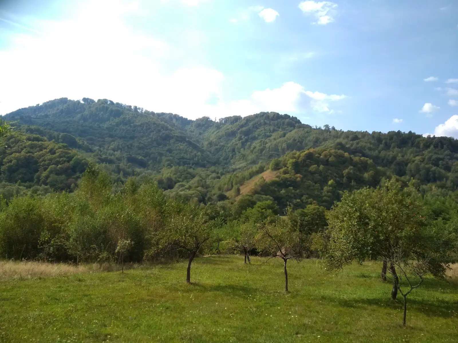 Turnu Ruieni - Culmea Cerbului - Măru