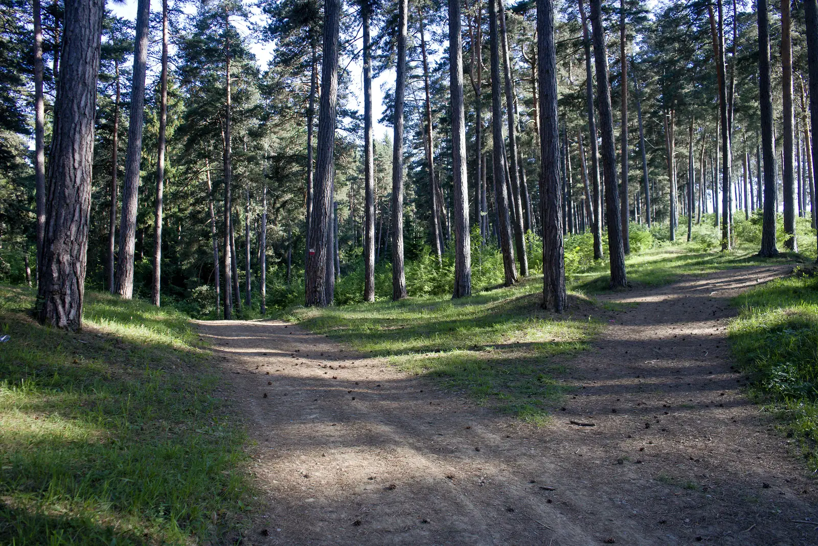 Purcăreni – Rezervaţia paleontologică Locul Fosilifer Purcăreni