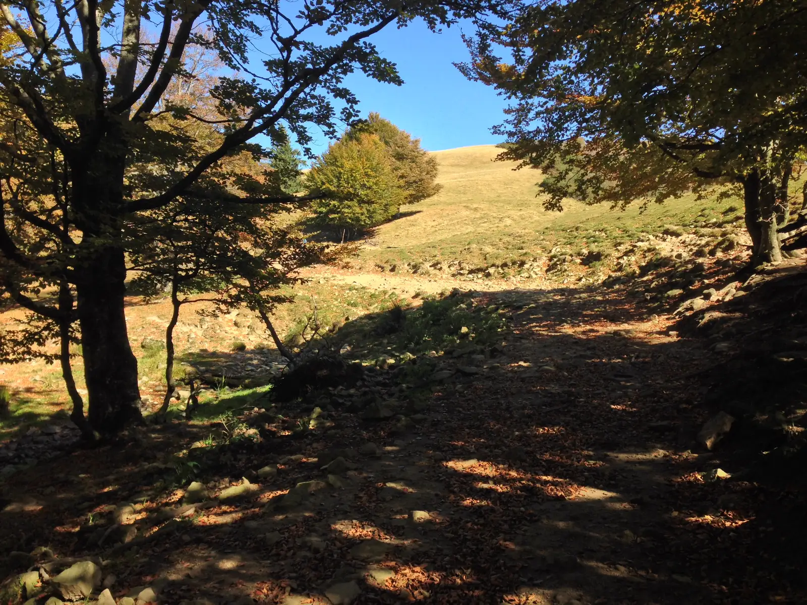 Chiojdu – Poiana Cărpiniş – intersecţie BR-TA