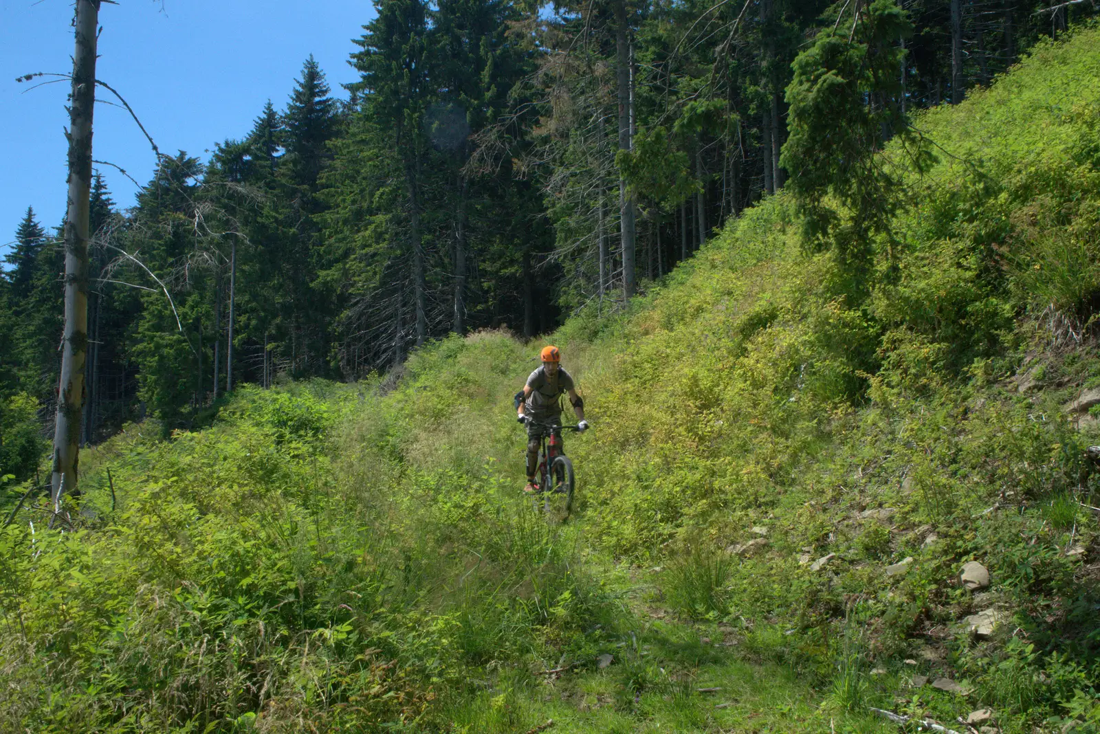 Valea Caşoca (Cabana 14 scaune) – Muntele Caşoca – şaua de sub Vf. Podu Calului