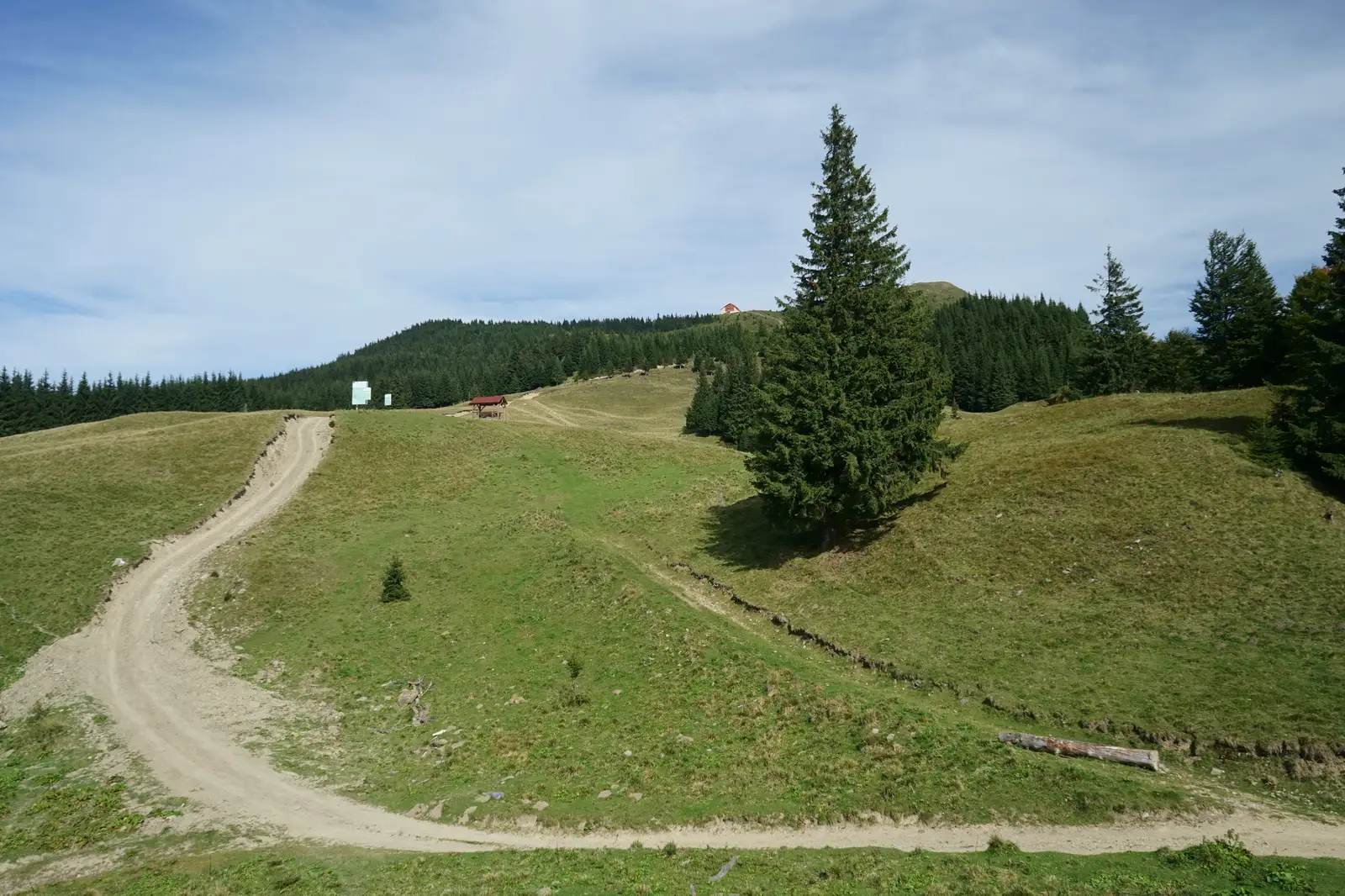 Valea Bâsca Mare – Vârful Penteleu – Valea Bâsca Mică