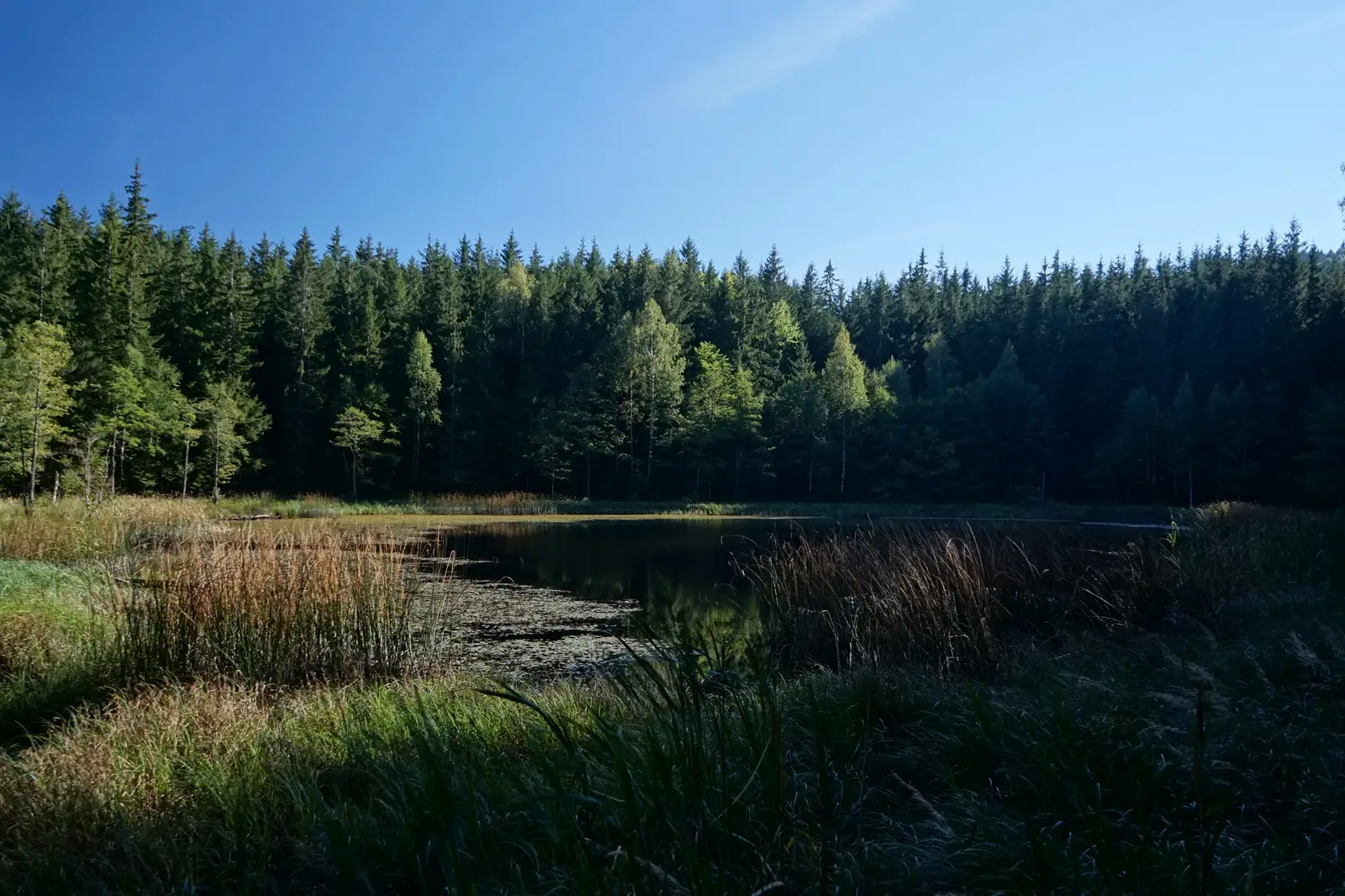 Canton Brebu (Valea Bâsca Mică) – Lacul Negru