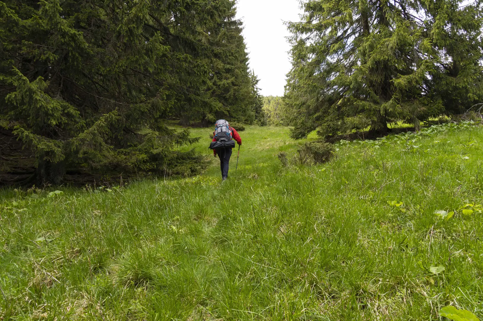 Deviere traseu BA spre Vf. Șandru Mare