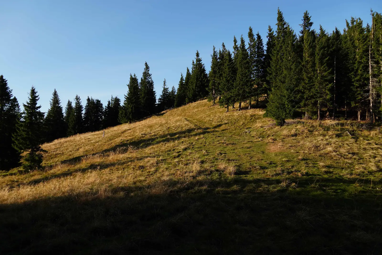 Slănic Moldova - Valea Pufu - Vf. La Cireș - Șaua Nemirei