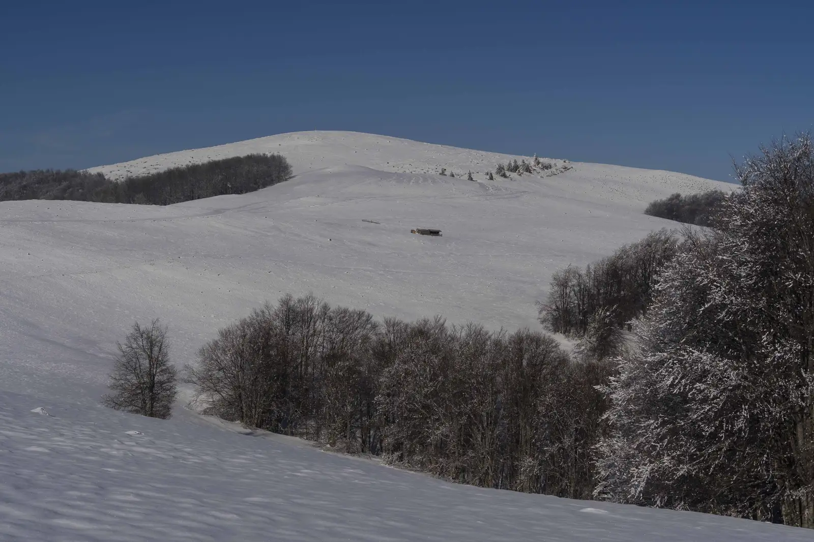 Pasul Oituz - Vf. Negru - Gâtul Apa Lină