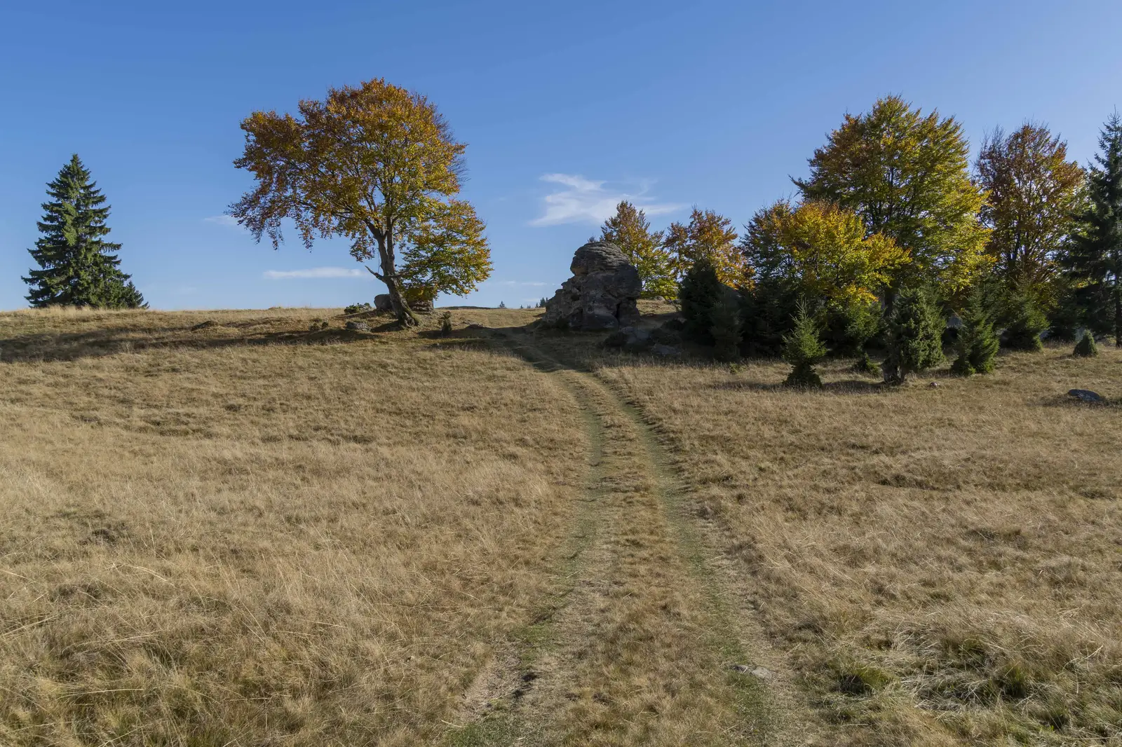 Estelnic - Vf. Răchitiș - Estelnic