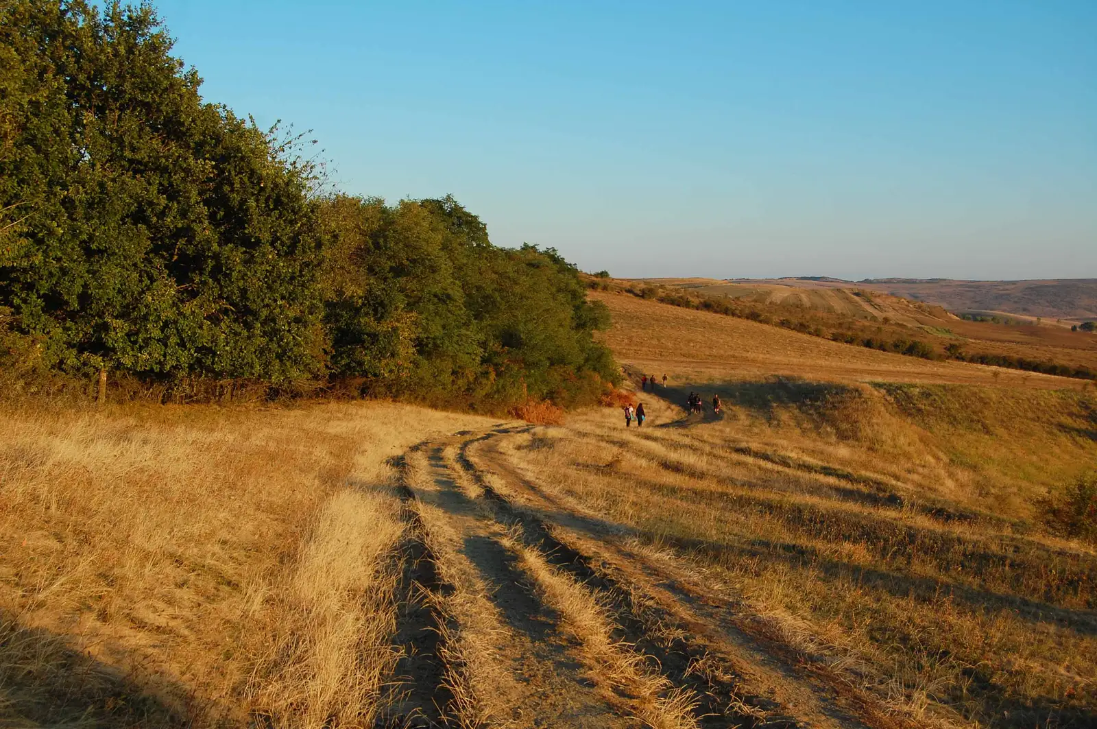 Cartierul Mănăștur - Casele Micești - Dl. Șpanului - Tureni