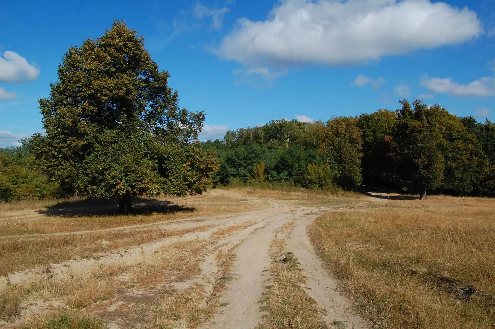 Cartierul Mănăștur - Râtul Popii - Vf. Peana