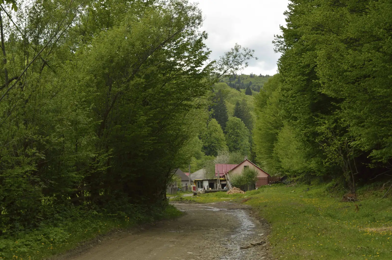 Oituz - Valea Oituz - Traseul BA