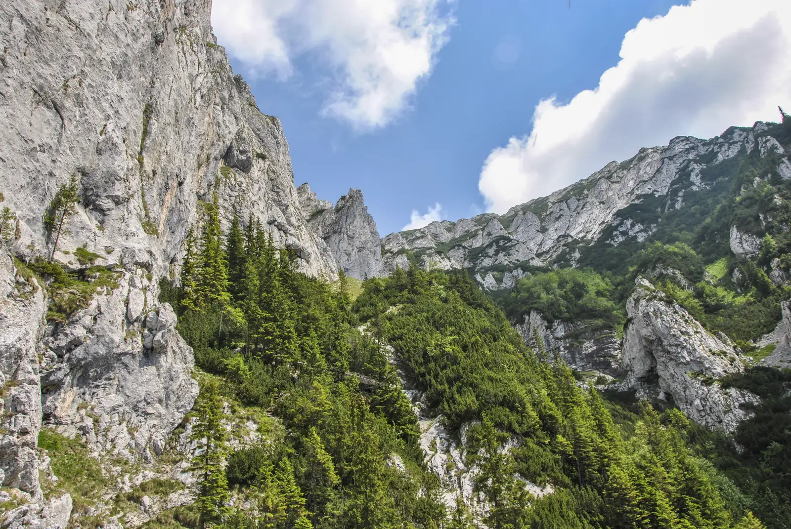 Refugiul Diana (1510 m) - Padina Popii - Strunga Izvorului (1890 m) - Vf. Padina Popii (2018 m)