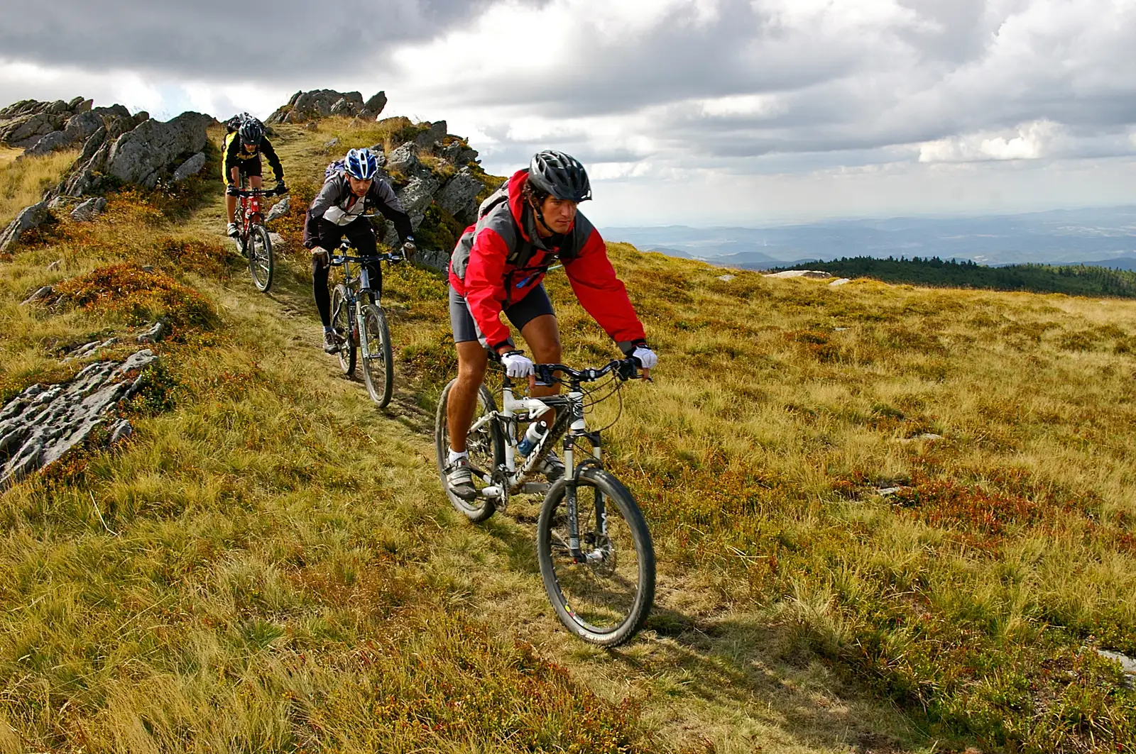 Brebu Nou - Pasul Prislop - Poiana Goznei - Brebu Nou