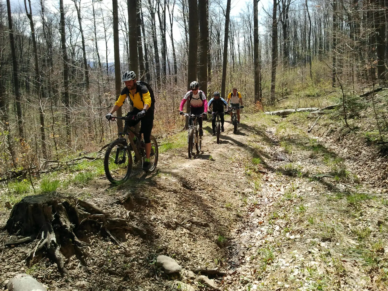 L. de Ac. Gozna -  Cantonul forestier Poiana Bichi - L. de Ac. Secu - L. de Ac. Gozna