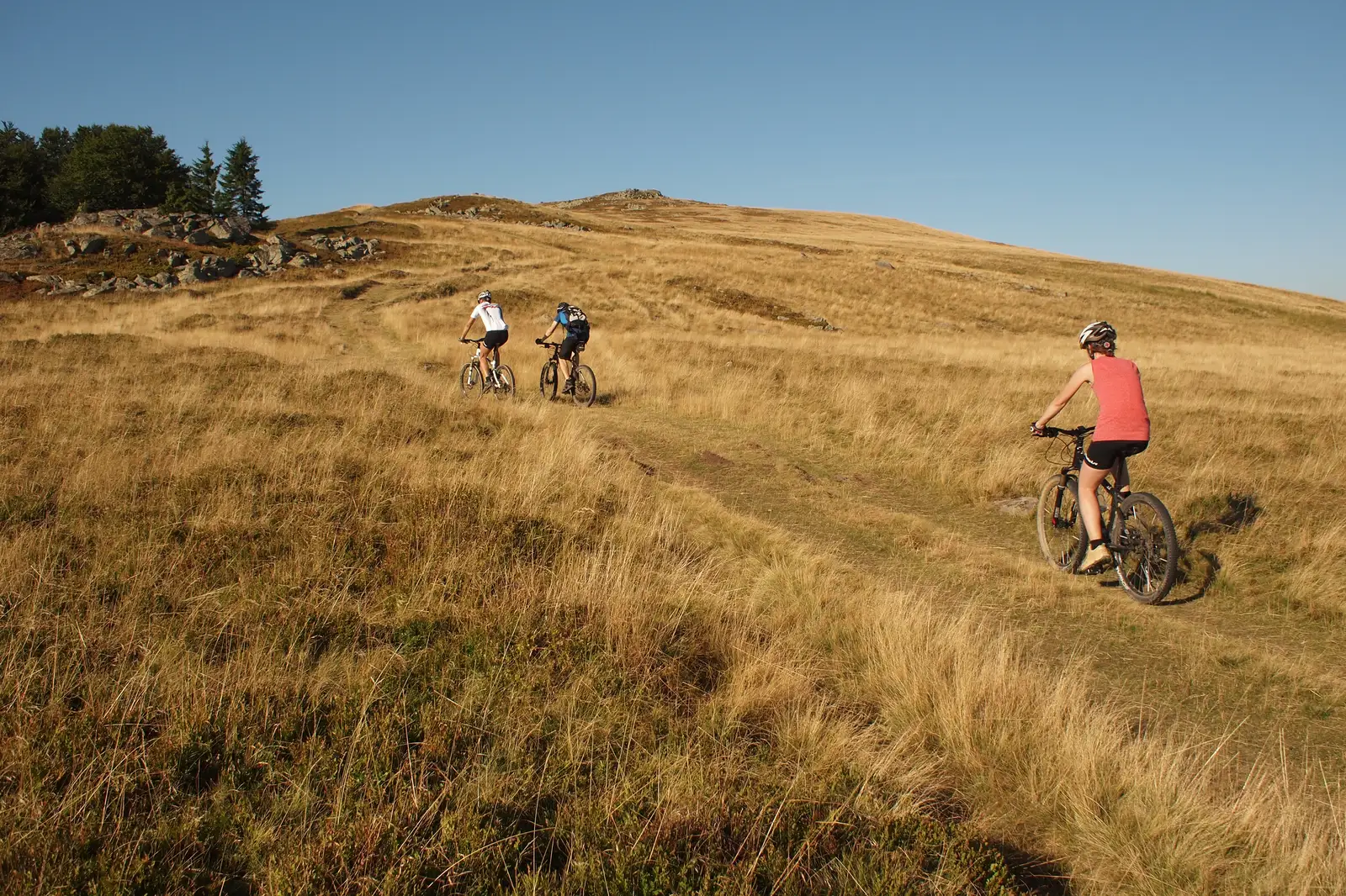 Lacul de Acumulare Gozna - Cantonul forestier Coşava Apelor - Staţiunea Turistică Semenic - Lacul de Acumulare Gozna