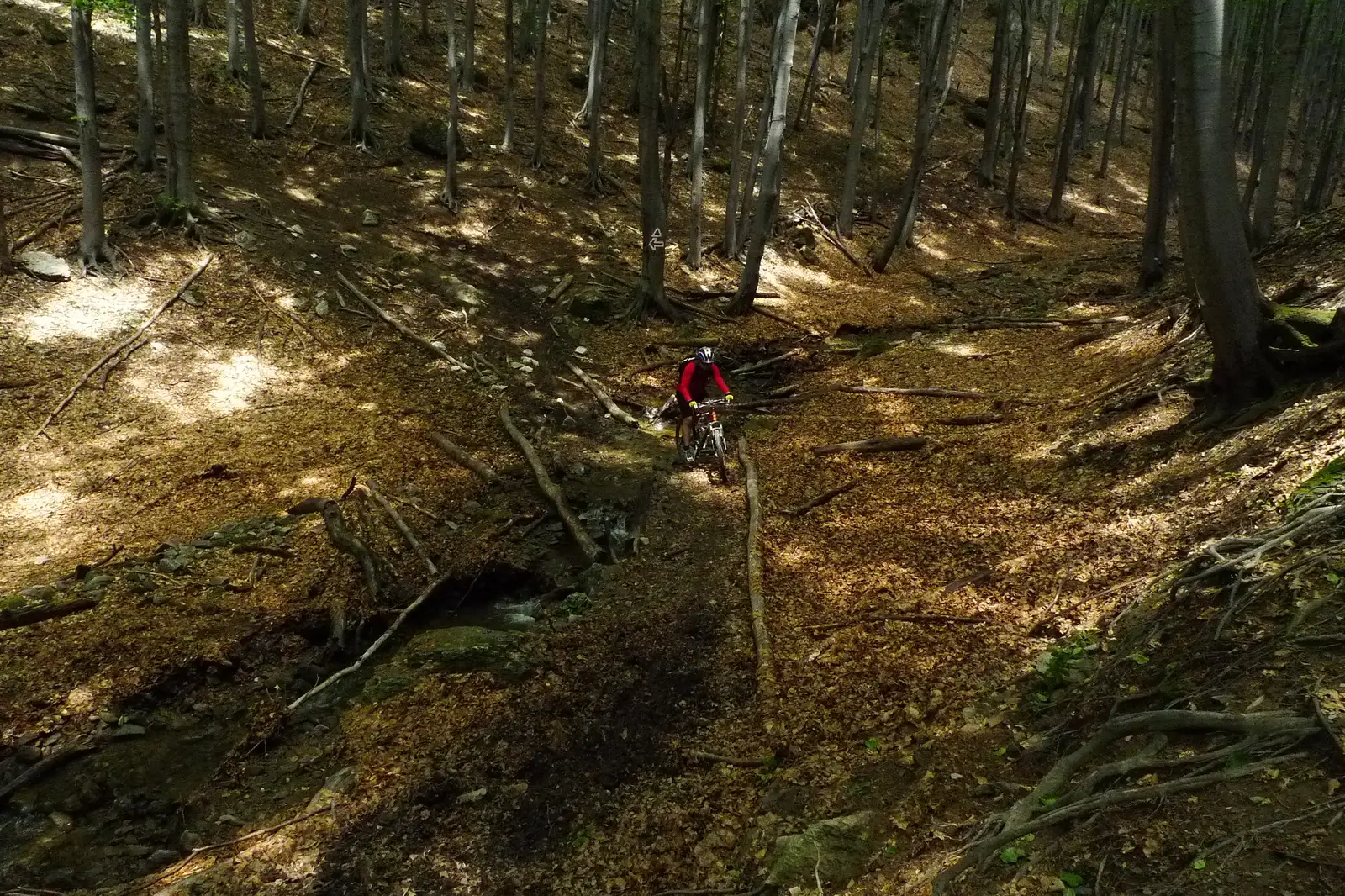 Bogîltin - Prisăcina - Globurău - Bogîltin