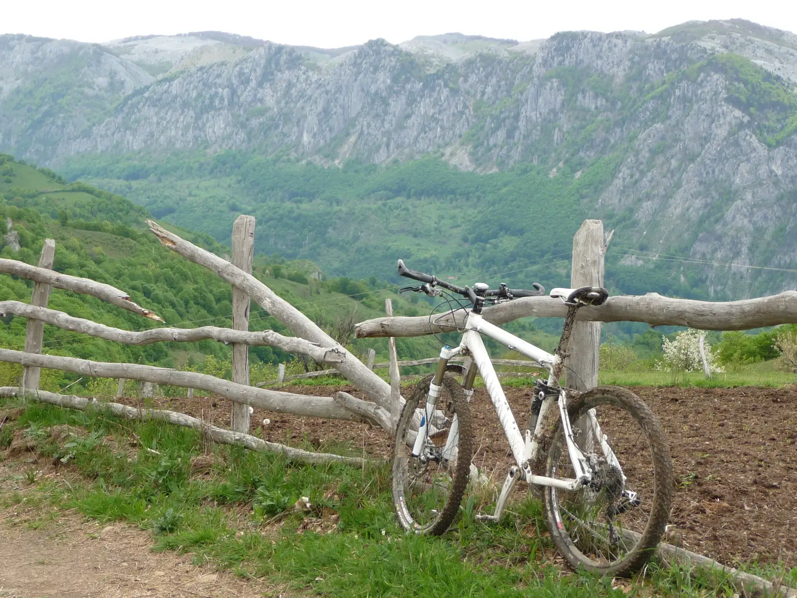 Poarta Orientală(Domaşnea) - Bogîltin - Dobraia - Podul Ţăsna(Valea Cernei)