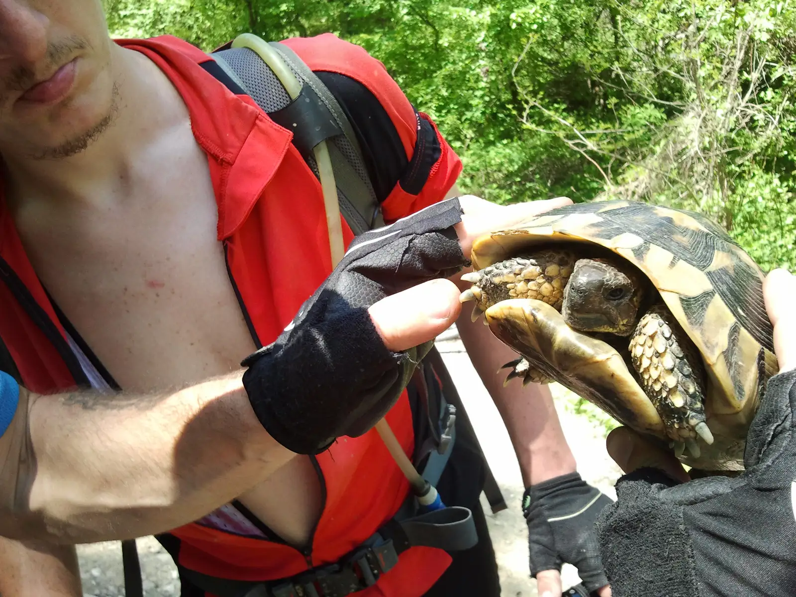 Berzasca - Bigăr - Berzasca