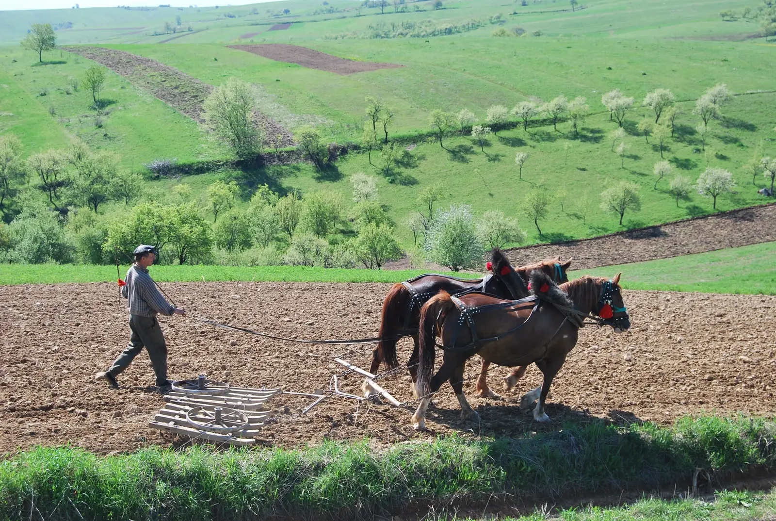 Traseul satelor Ceheşti din Banat / Czech villages trail in Banat