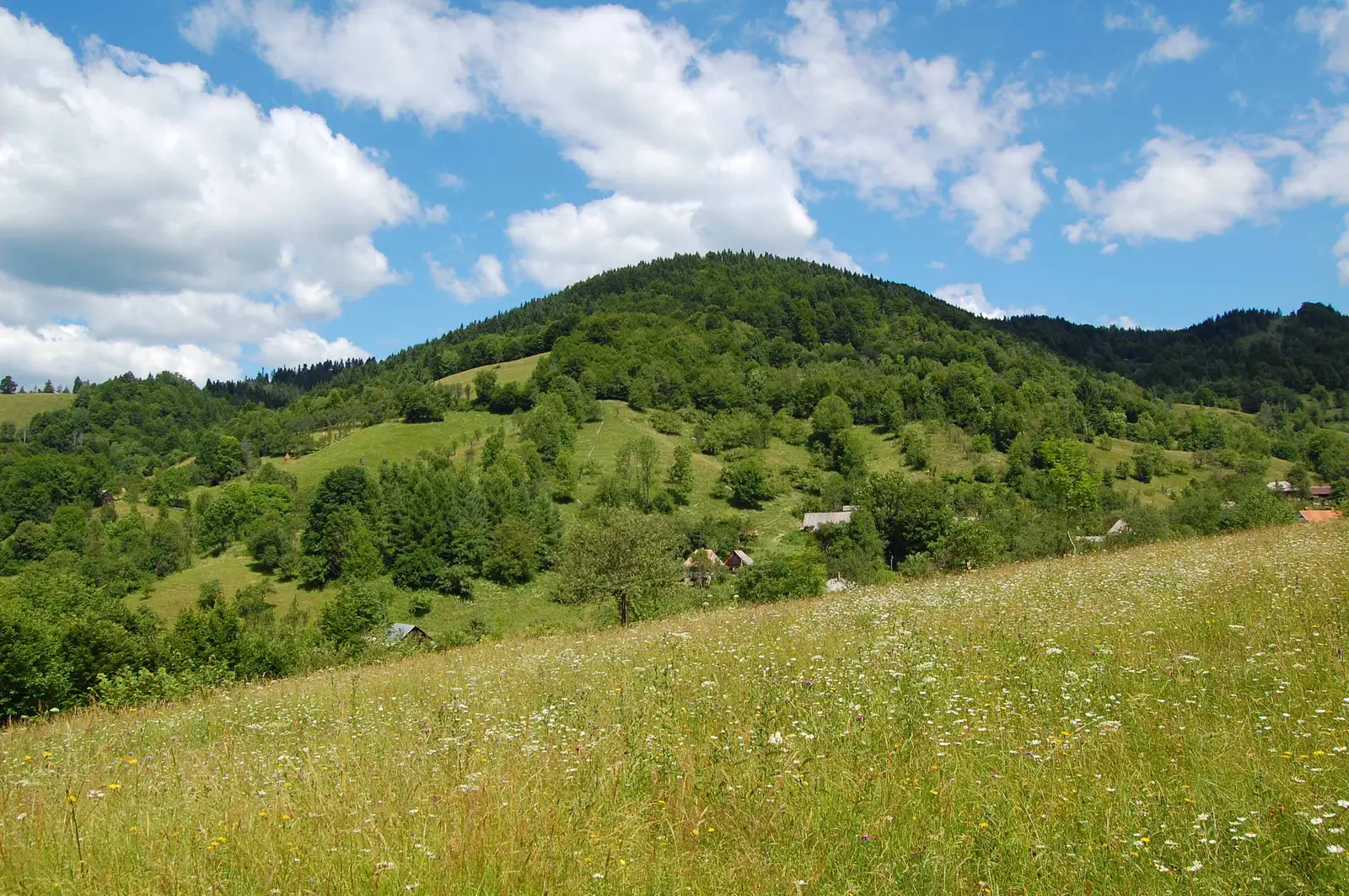 Roșia Montană - satul Văleni - popasul Fefeleaga