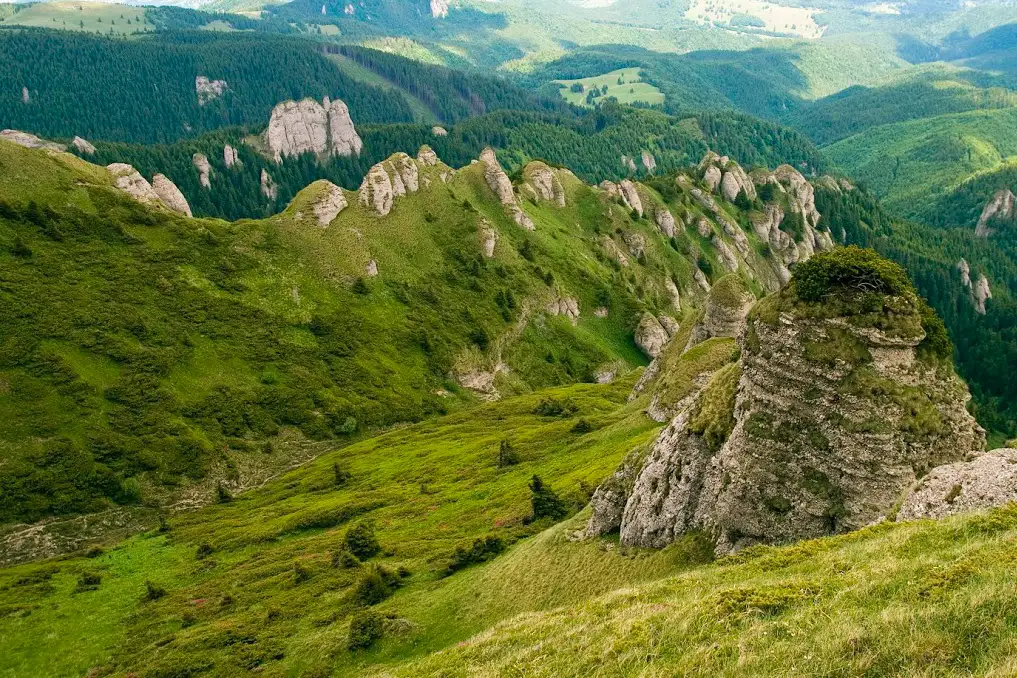 Vama Buzăului - Poiana Dălghiu - Vf. Ciucaş