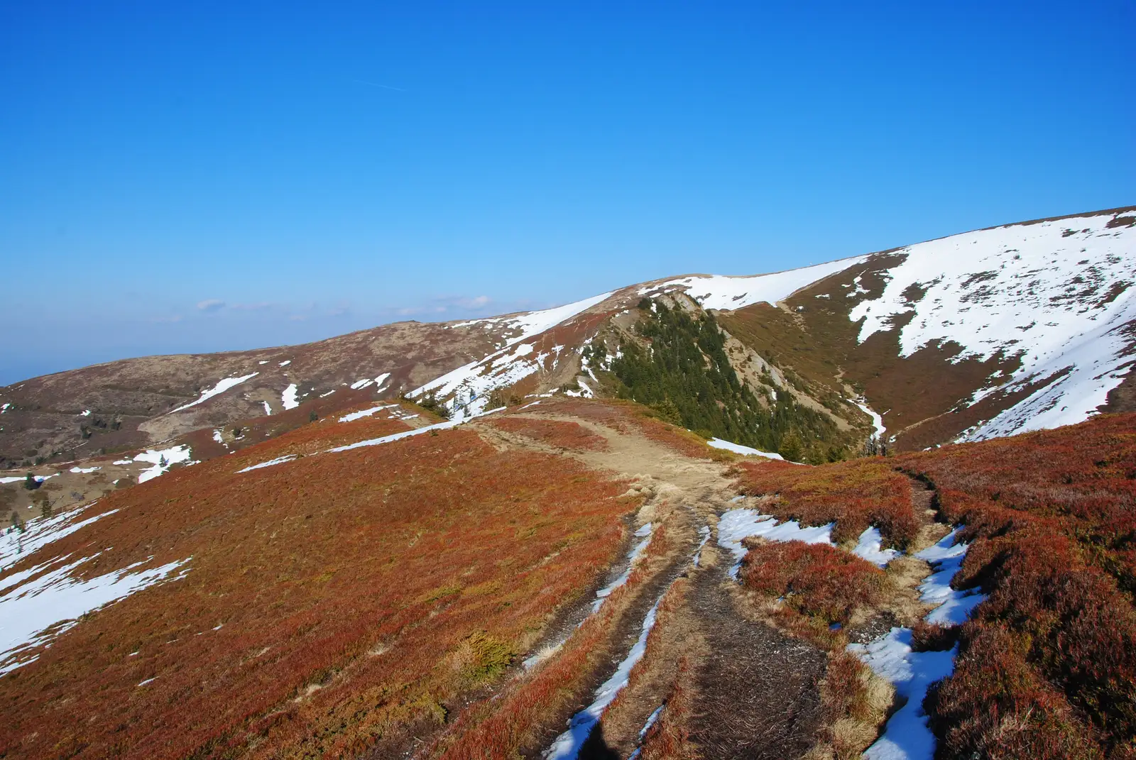 Cabana M. Roşu - Şaua Gropşoarele - Curmătura Stânii