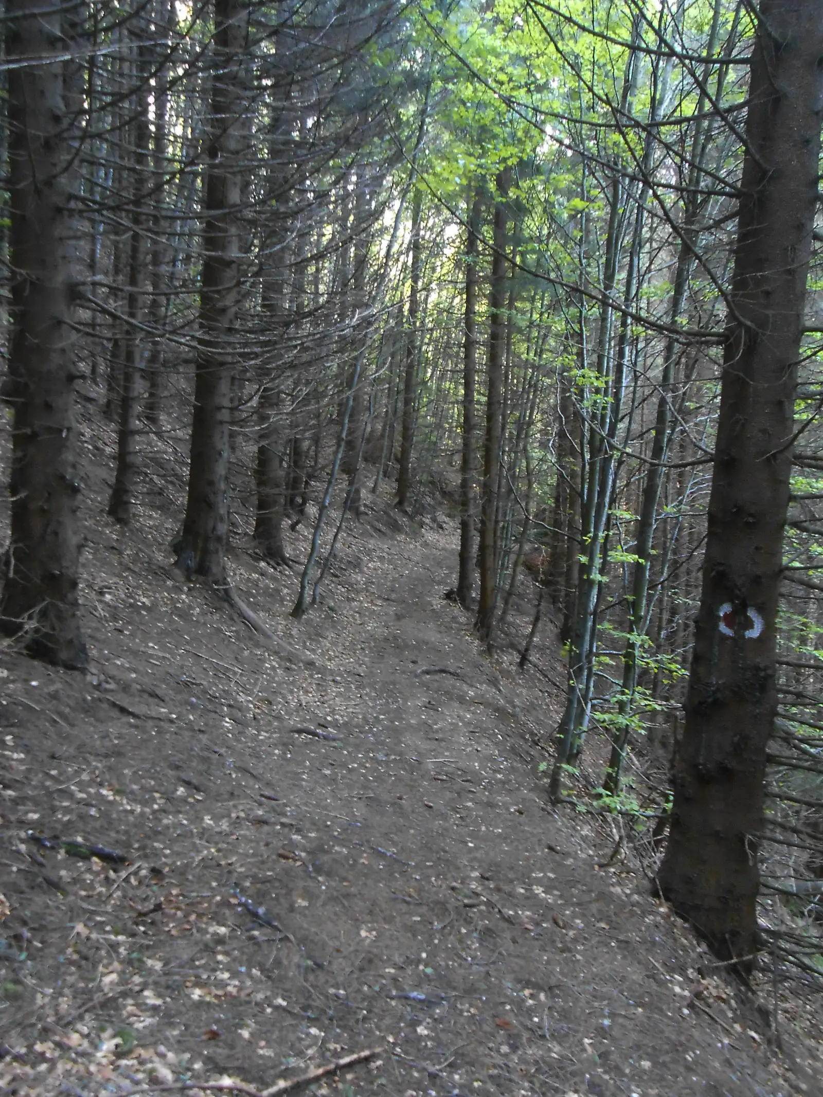 traseul TR - Şaua Teslei