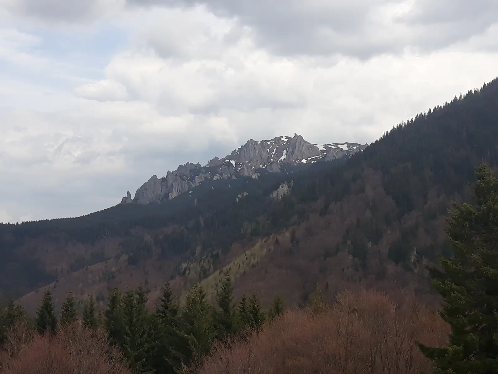 Babarunca - Poiana Zanoaga - Culmea Bratocea