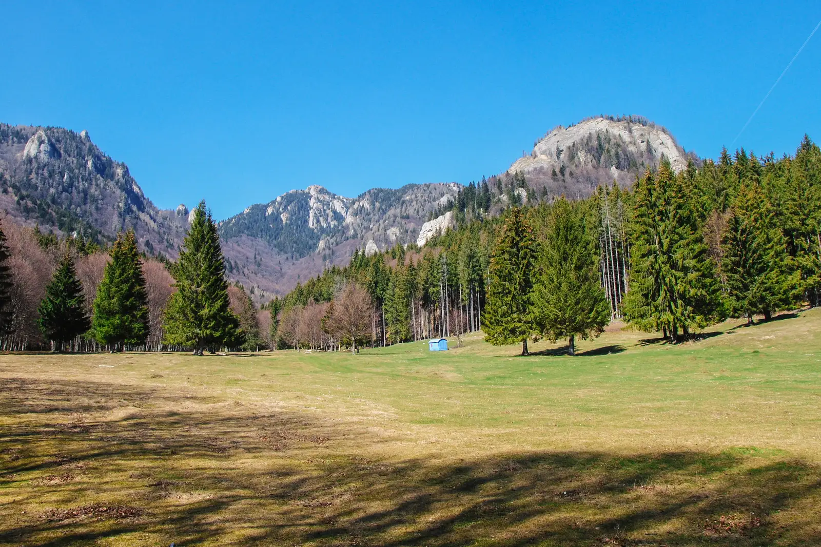 Poiana Stânii - Pasul Boncuţa