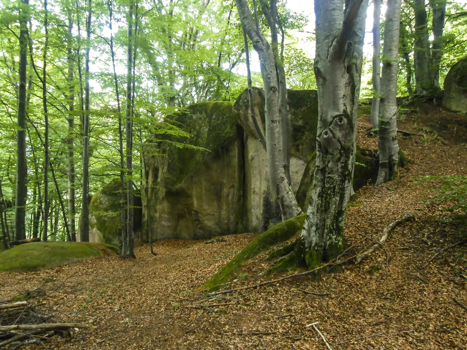 Peştera Râşnoavei - Bisericuţa Păgânilor