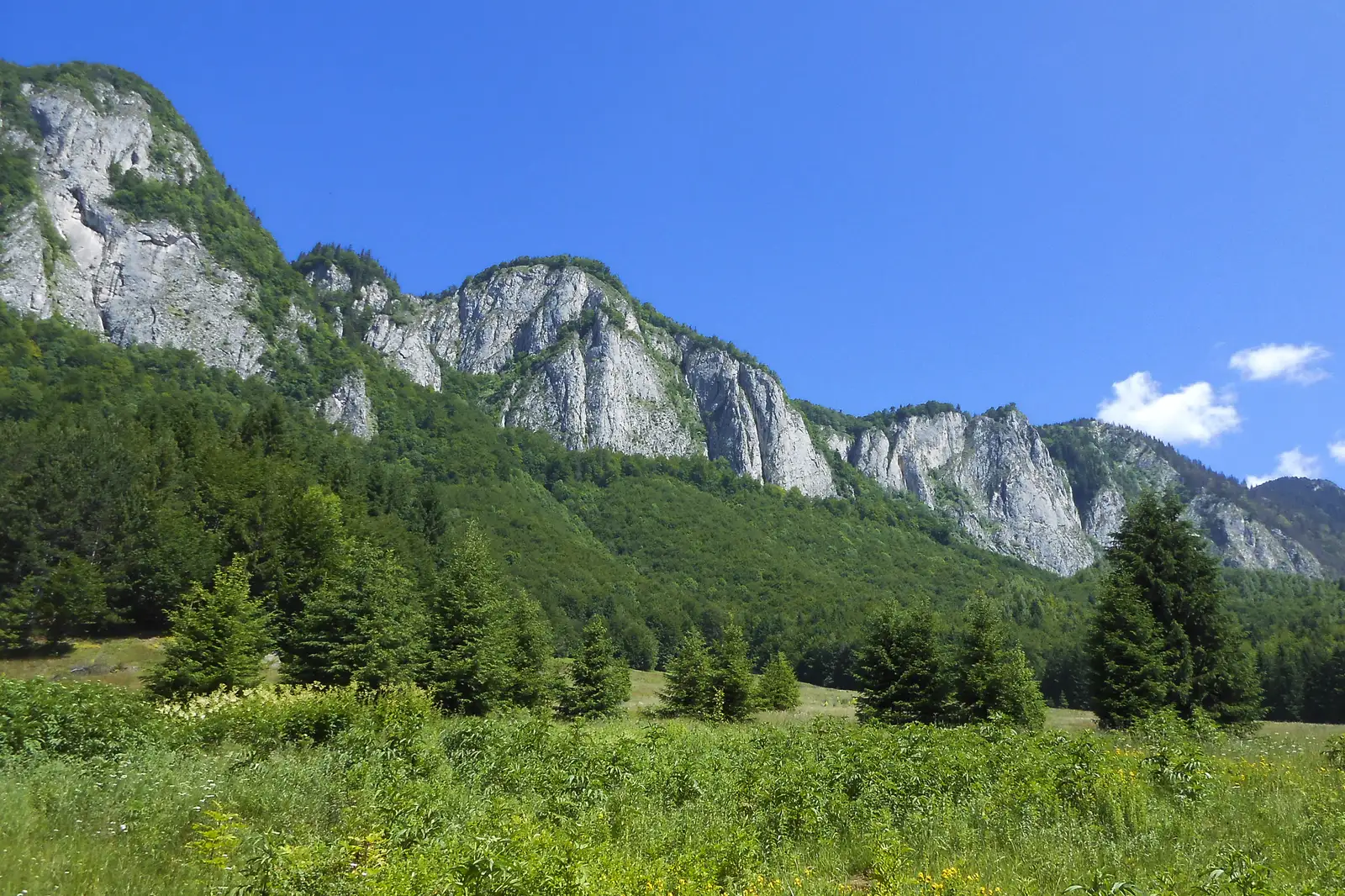 Fosta Cabană Cheia - Cheile Râşnoavei - Timişu de Sus