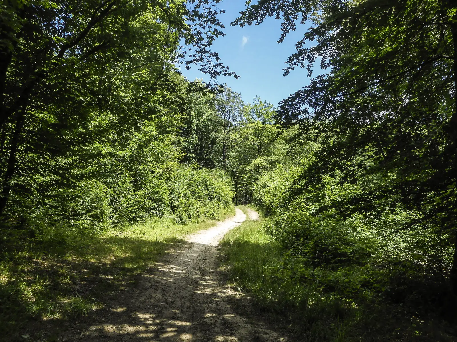 Poiana Cristian - Poiana Neagului - Stâna Turistică