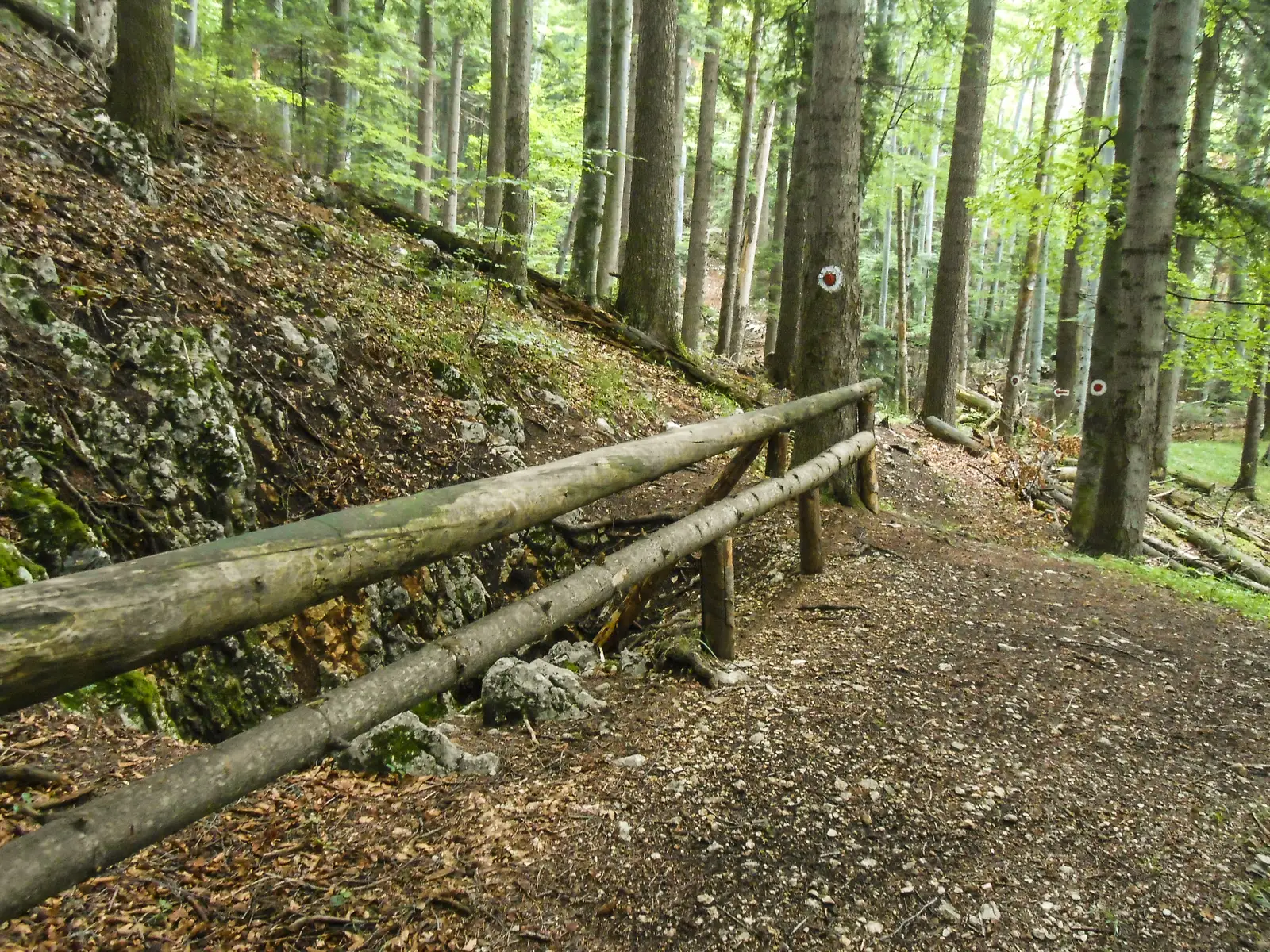 Poiana Braşov - Avenul Groapa de Aur - V. Poienii