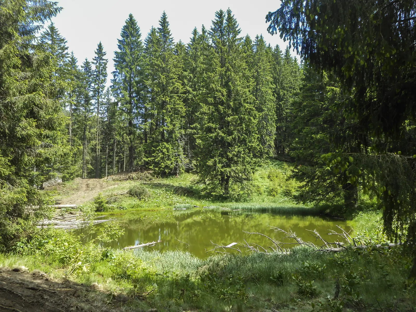 La Susai Mountain Resort - Valea Azugii - Cabana Renţea