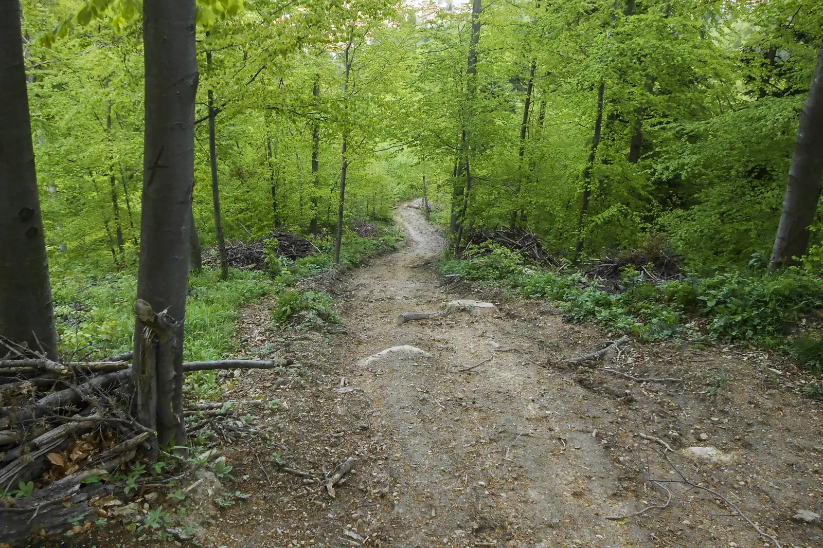Braşov - Piscul Lung - Culmea Crucuru